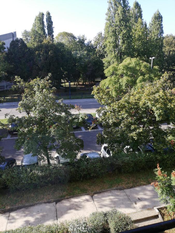 Apartman Vanja Belgrad Exteriör bild